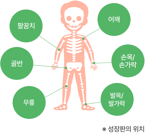 성장검사 및 진단